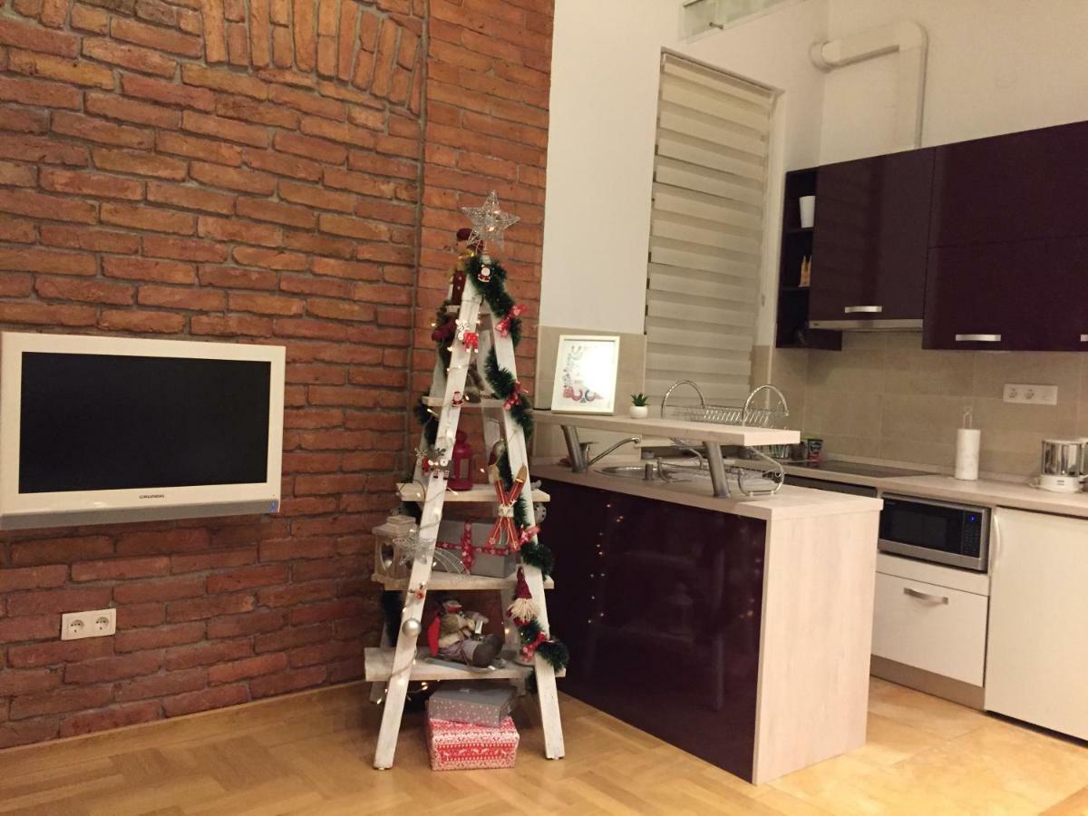 Clyra Apartment City Centar 萨格勒布 外观 照片